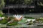 IMG_1258