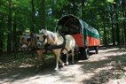 IMG_8168