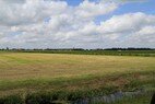 Wijckel